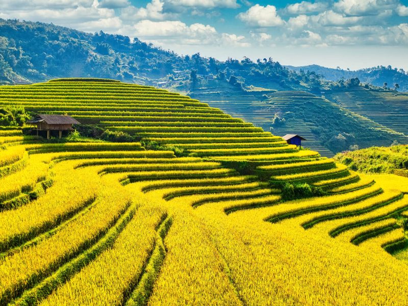 Explore North and South of Vietnam in 7 Days